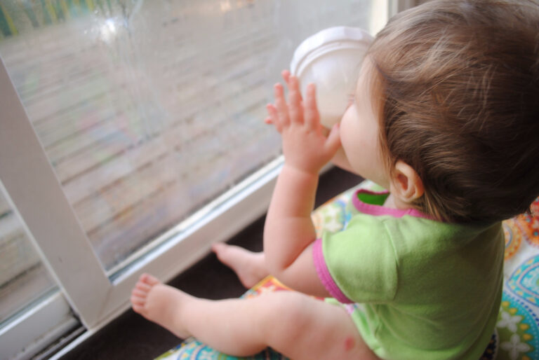 The Breastfeeding Bottle
