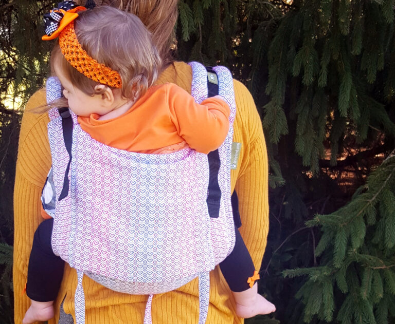 Lenny Lamb Standard Size Buckle Onbuhimo in LittleLove Haze