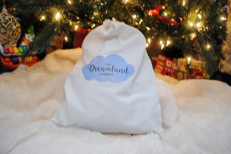Dreamshirt Sleepshirt by The Dreamland Company