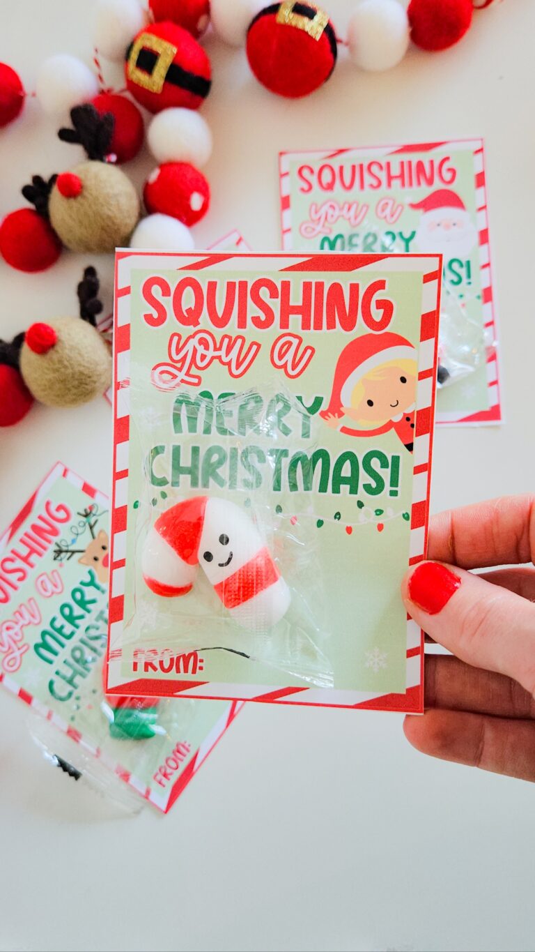 Squish you a Merry Christmas 🎅🎄