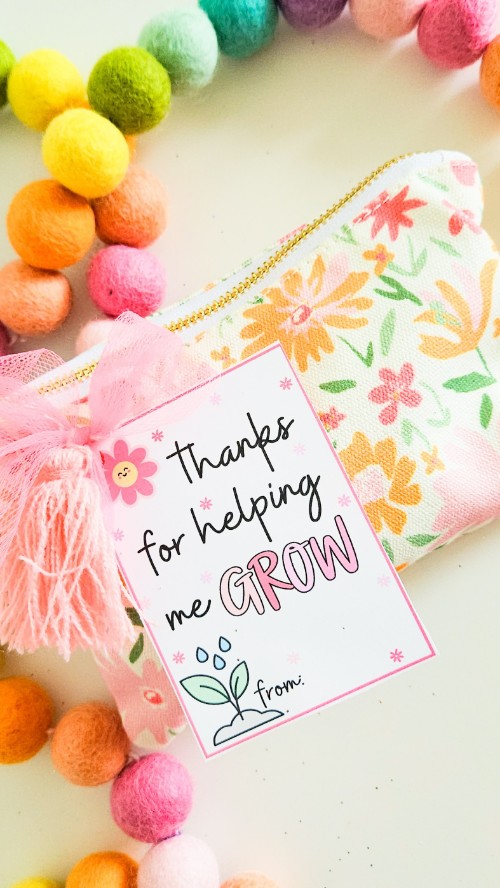 Target run teacher gift