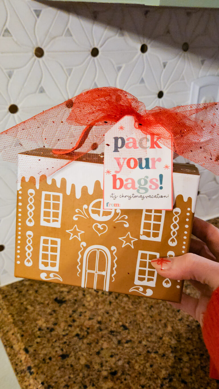Target Suitcase Gift Idea