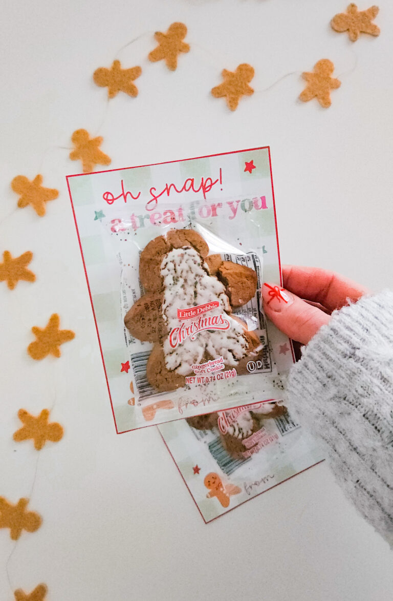 Gingerbread Cookie Gift Idea