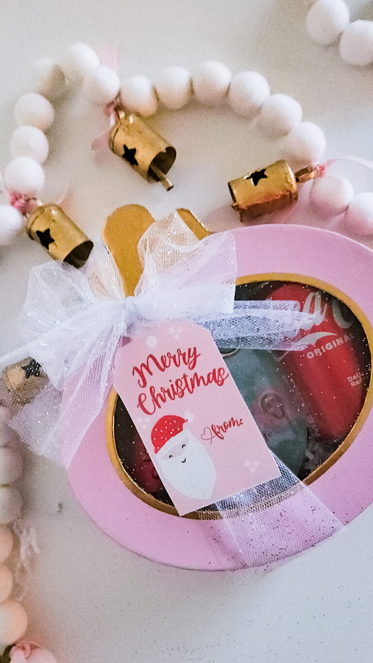 Ornament Christmas Gift Idea