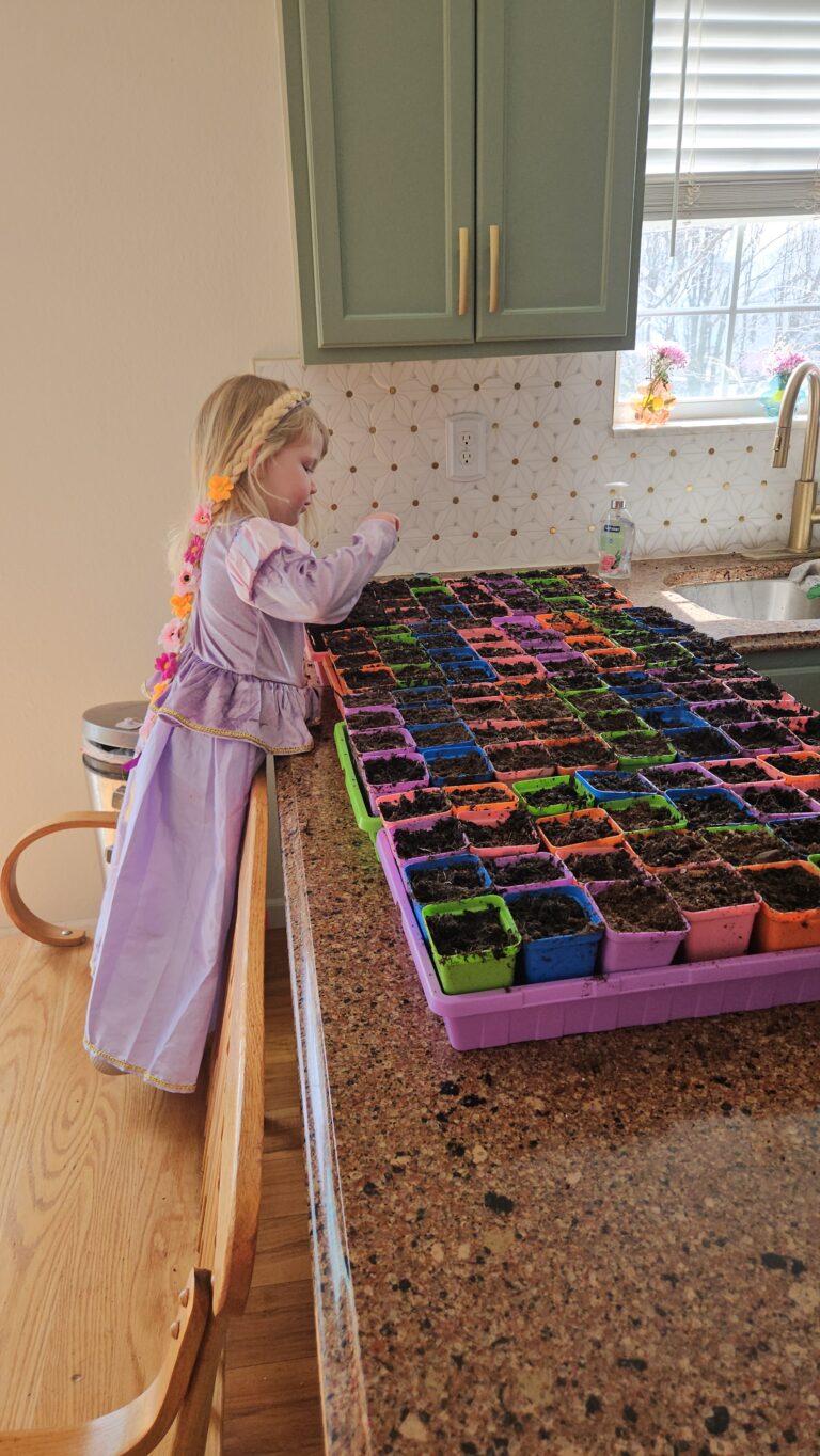 Flower Garden Starting Supplies